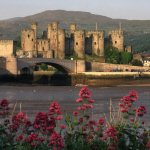 Conwy Castle